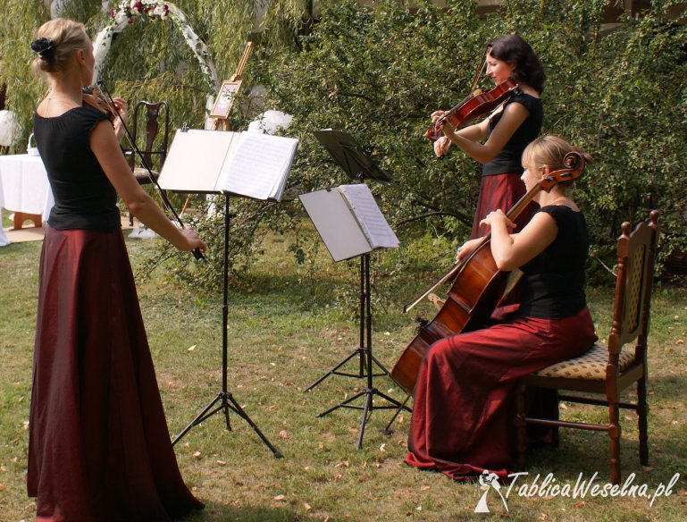 Ekspresja - profesjonalna oprawa muzyczna, skrzypce, kwartet smyczkowy, zespoły, muzyka na ślub