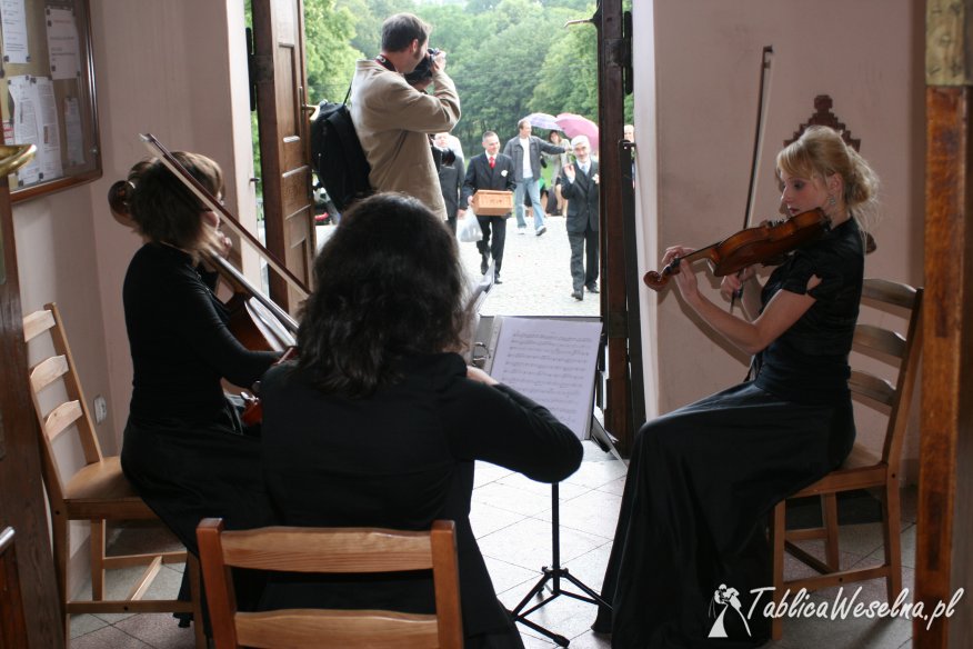 Ekspresja - profesjonalna oprawa muzyczna, skrzypce, kwartet smyczkowy, zespoły, muzyka na ślub